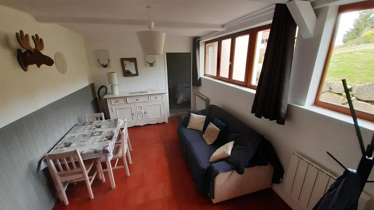 Le Saut Du Cerf Apartment Gérardmer Exterior foto